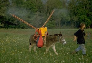 Esel-Spritze Esel-Spritze