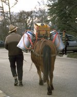 Eigenbau-Spritze auf dem Pferd Eigenbau-Spritze auf dem Pferd